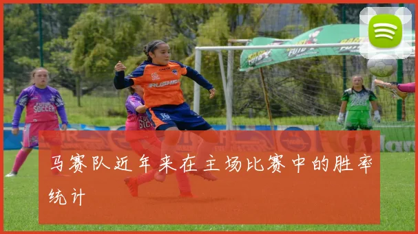 马赛队近年来在主场比赛中的胜率统计