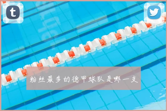 粉丝最多的德甲球队是哪一支